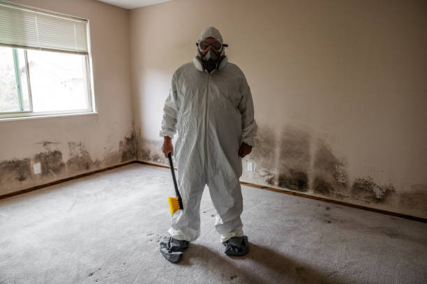 Claremore, OK Mold Removal Company